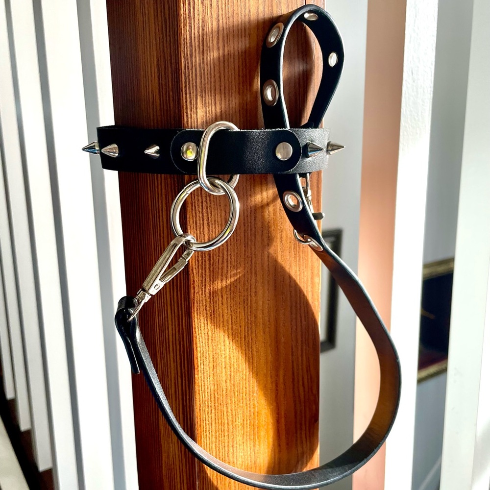 Vegan Leather Studded Necklace And Lead